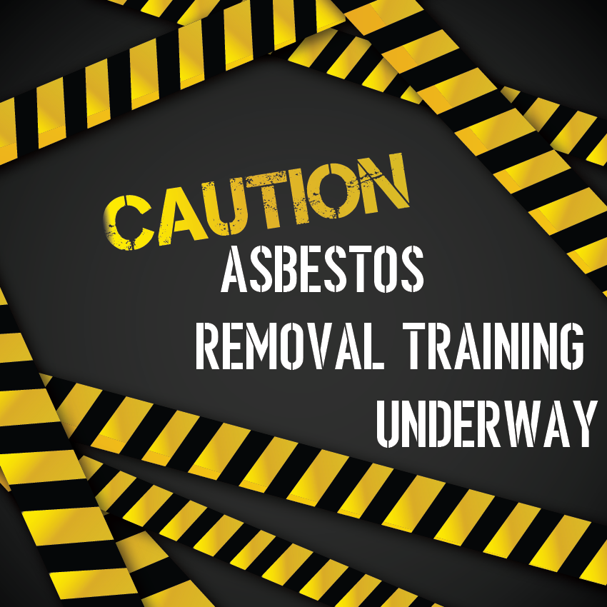 Asbestos Removal Service